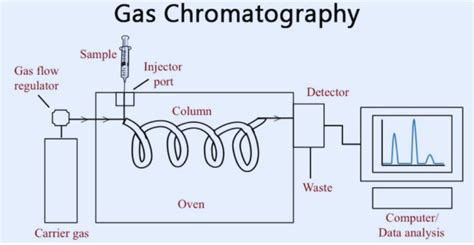how to interpret gcms|An Overview of GCMS: Principle, Applications, Techniques and Advanta.